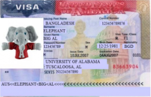 Big Al's student visa