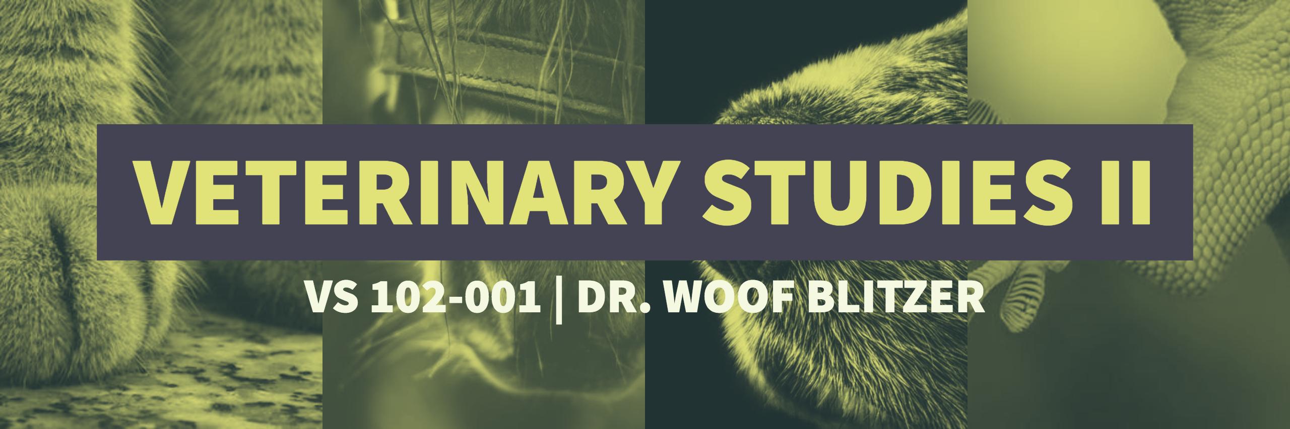 course banner for veterinary studies course featuring animal paws and snouts