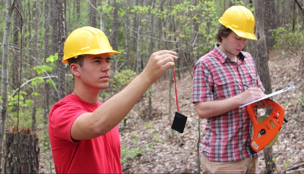 male students surveying a wooded area