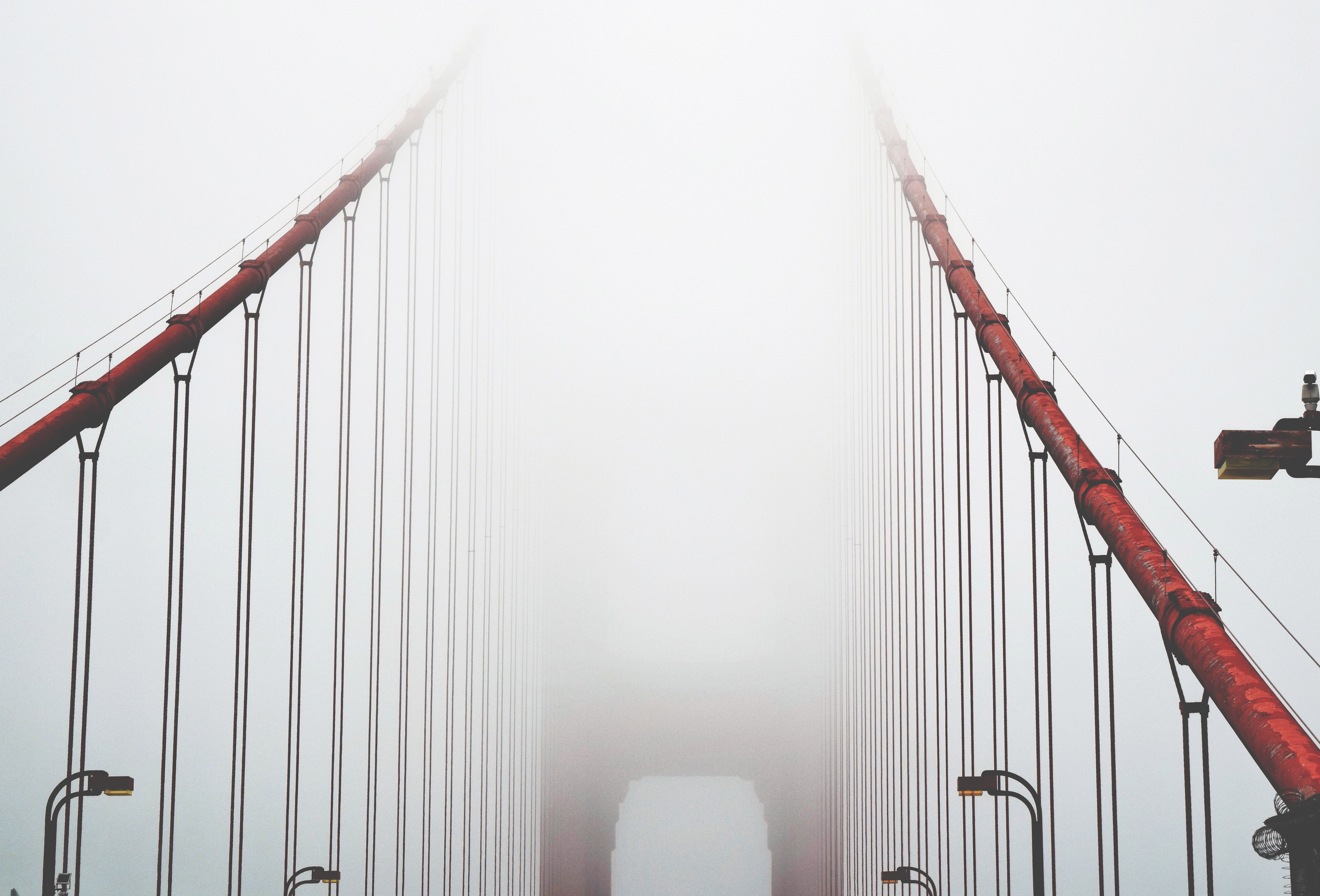 Cables of a suspension bridge shrouded in fog