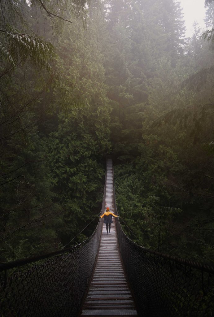 person walking on brown wooden bridge near green tall tress during daytime